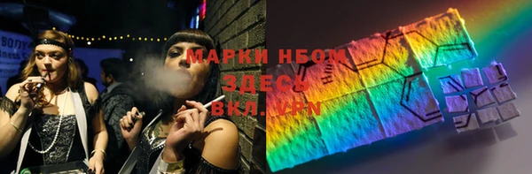 spice Бородино