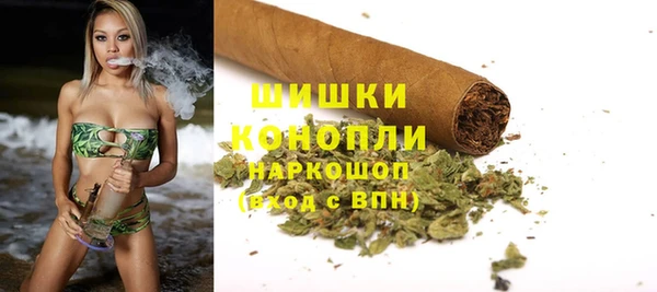 spice Бородино