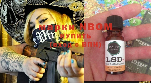 spice Бородино