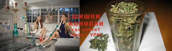 spice Бородино