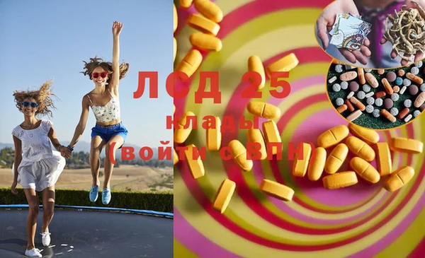 spice Бородино